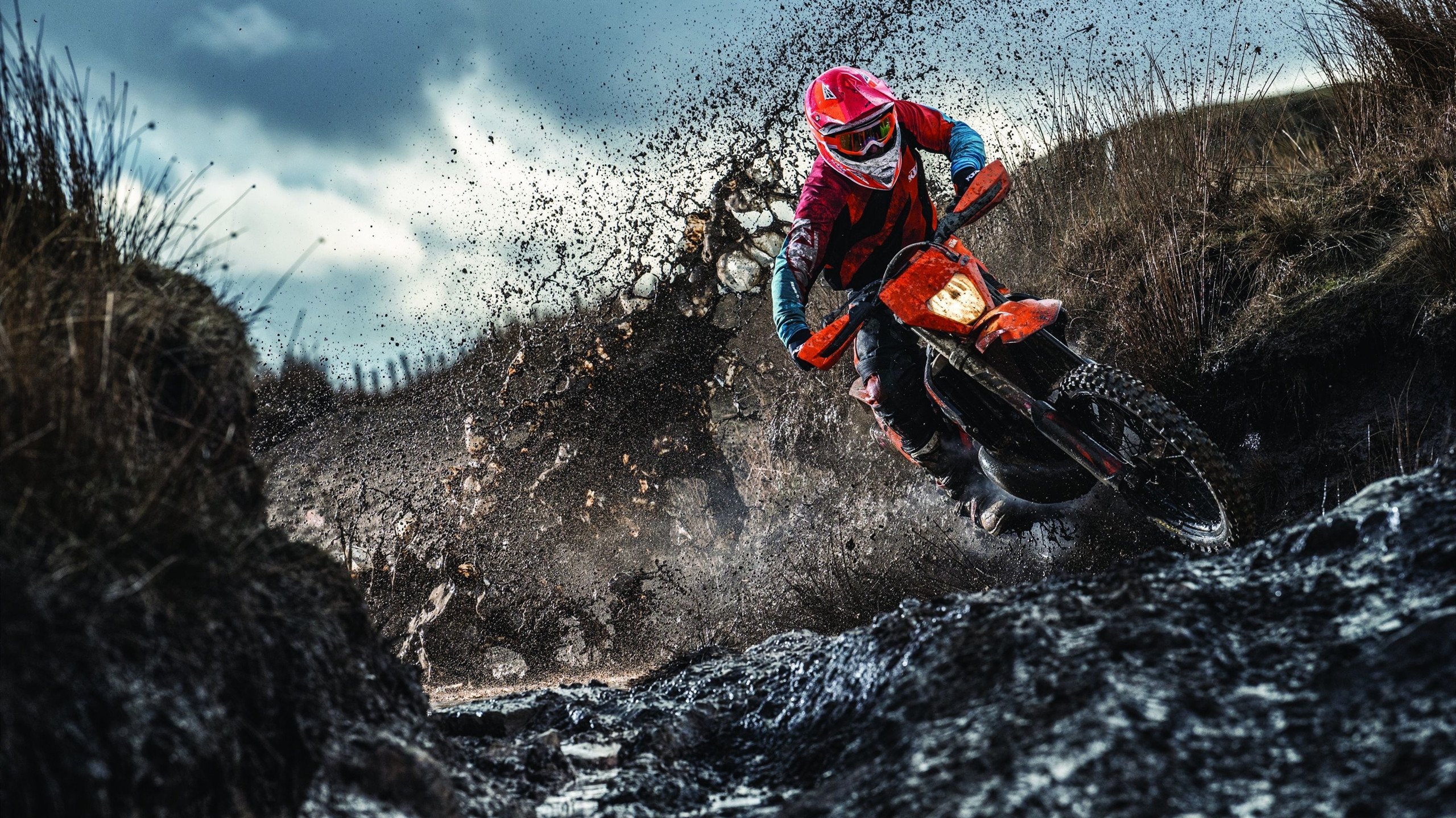 老鹰掀翻勇士,浓眉末节接管比赛,一场关于统治力的重新定义